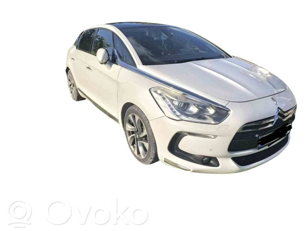 DS5 DS5