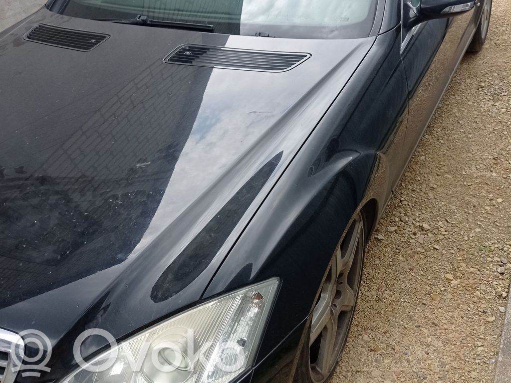 S W221 S-class, AMG (W126, W140, W220, W221, W222)  A2218300954