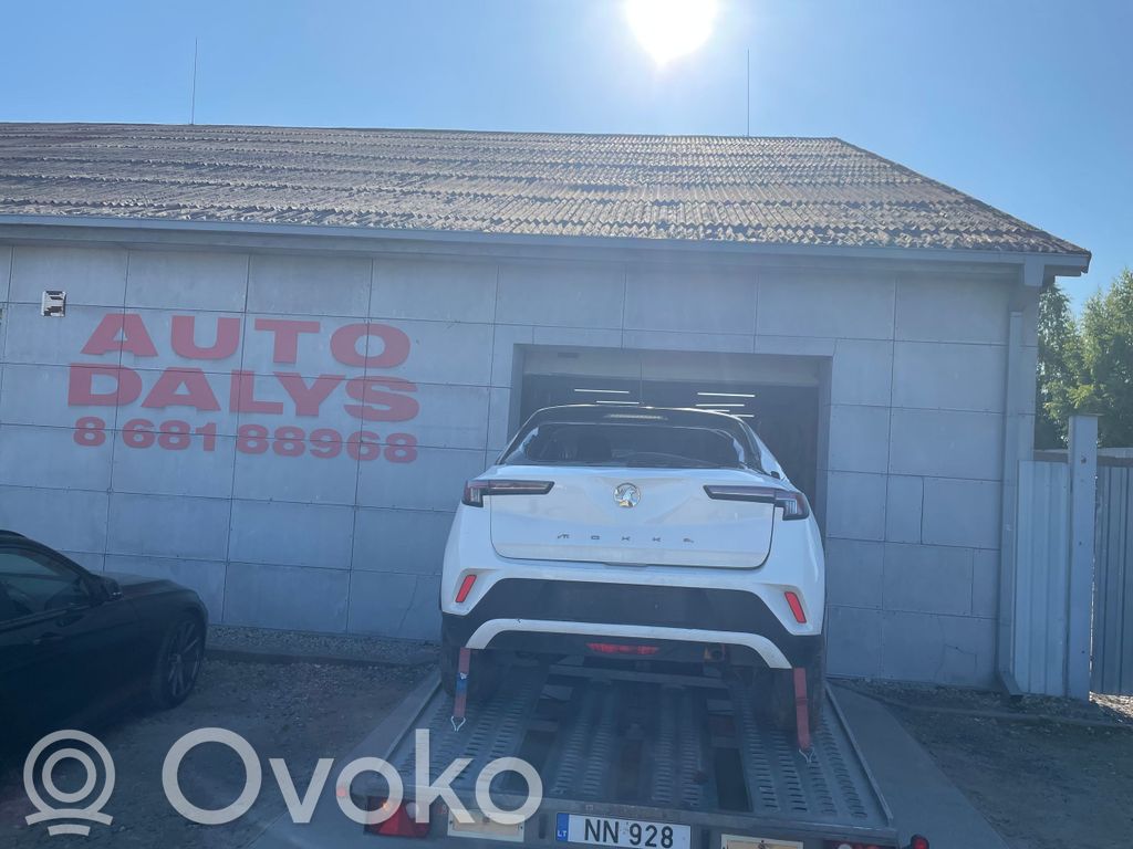 Mokka B Mokka  9831467780