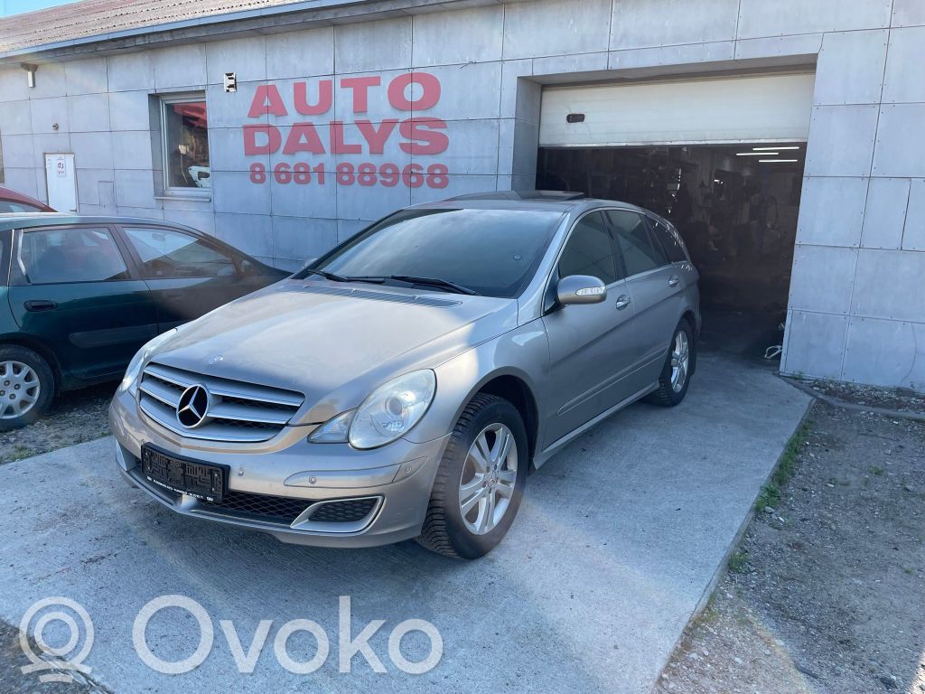 R W251 R-class, AMG (W251)  A1648203785