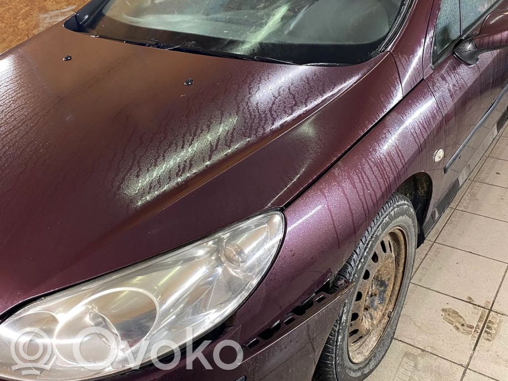 407 407  964194568003