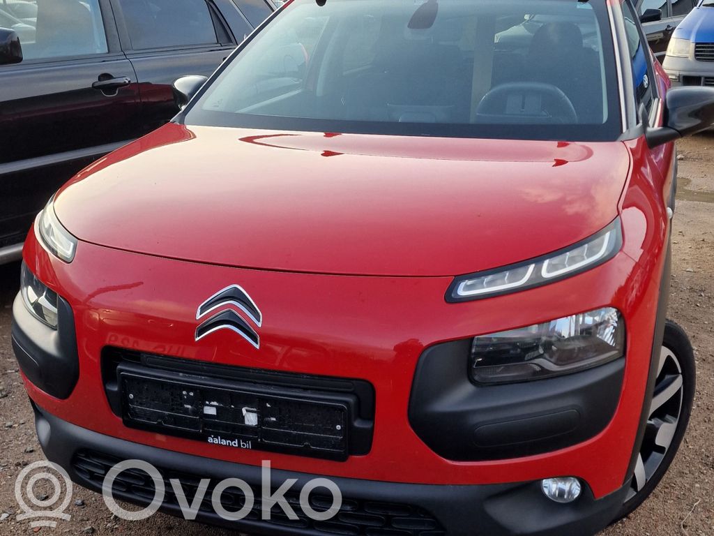 C4 Cactus C4 Picasso, Grand Picasso, Aircross, Cactus  9675202477T