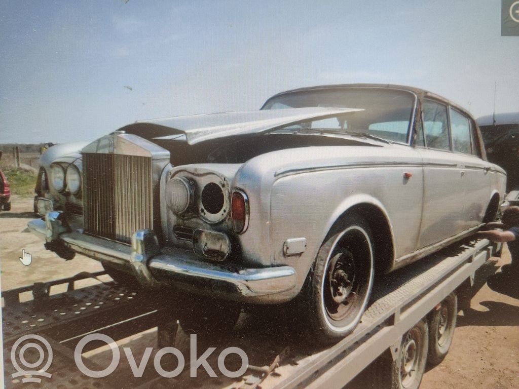 Silver Shadow Silver Shadow