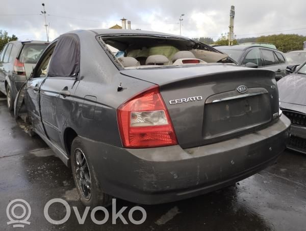 Cerato Cerato