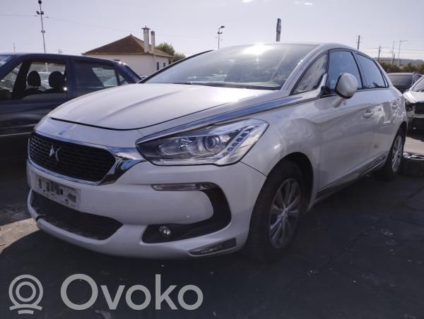 DS5 DS5