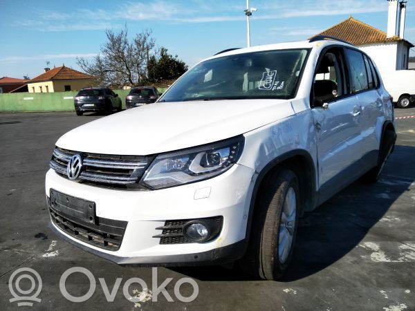 Tiguan Tiguan