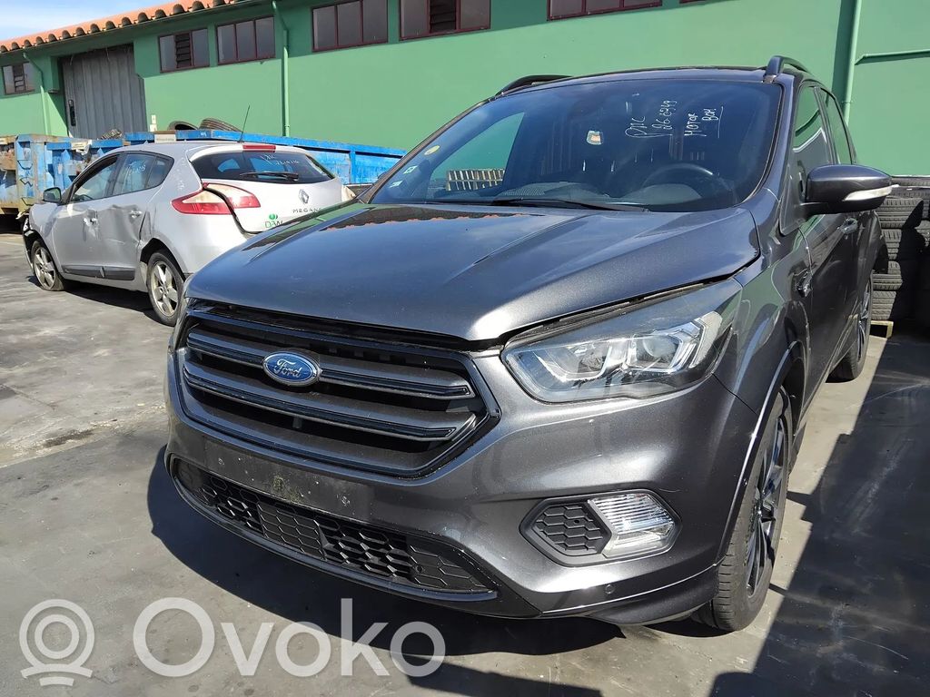 Kuga II Kuga