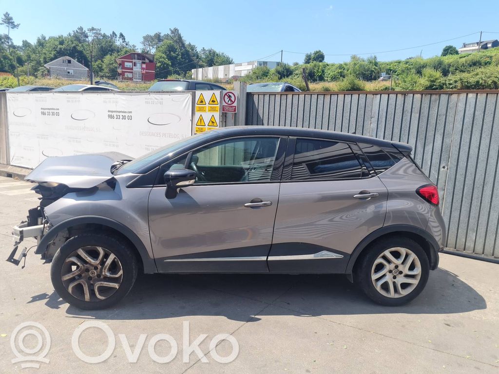 Captur Captur  490013552R