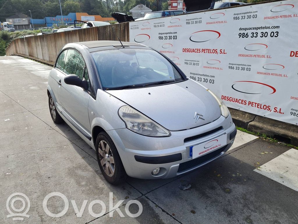 C3 Pluriel C3, Pluriel, Picasso  9650347880