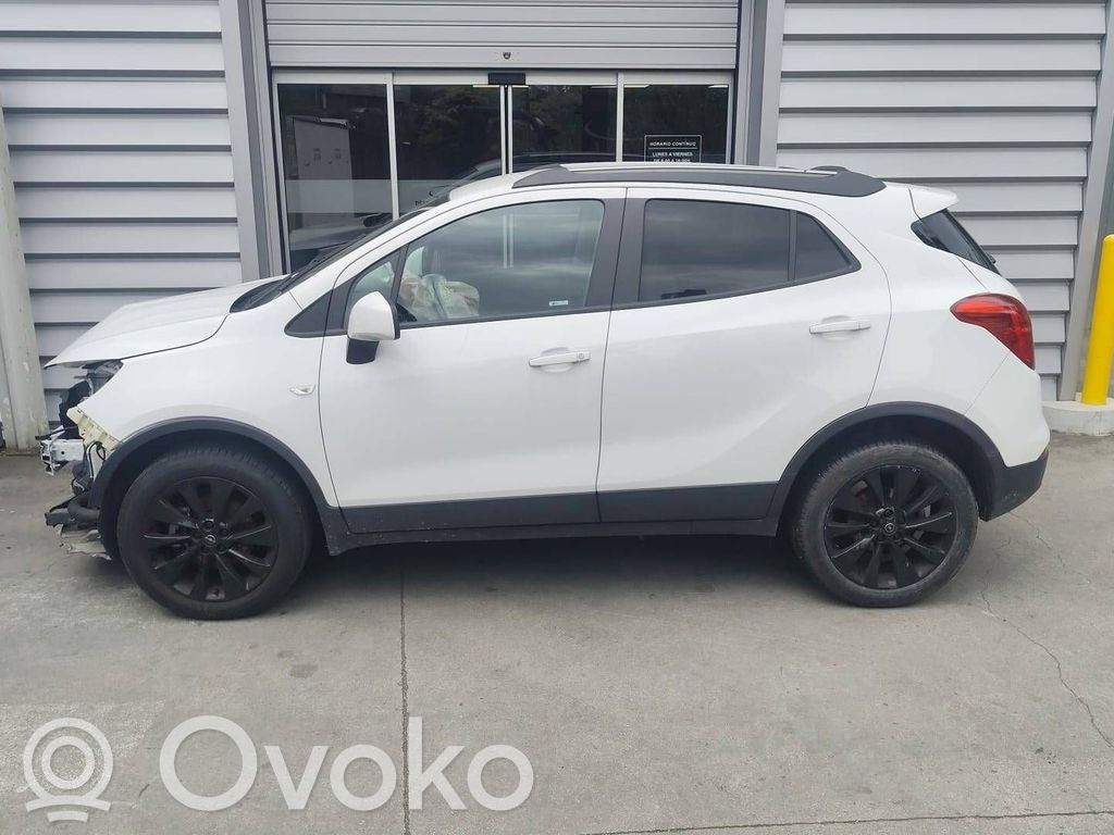 Mokka X Mokka  42498391