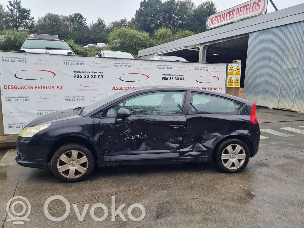 C4 I C4 Picasso, Grand Picasso, Aircross, Cactus  0445110297
