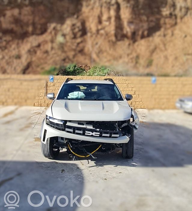 Duster Duster  231B86201R
