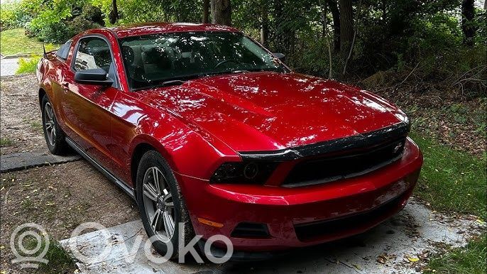 Mustang V Mustang  32068333