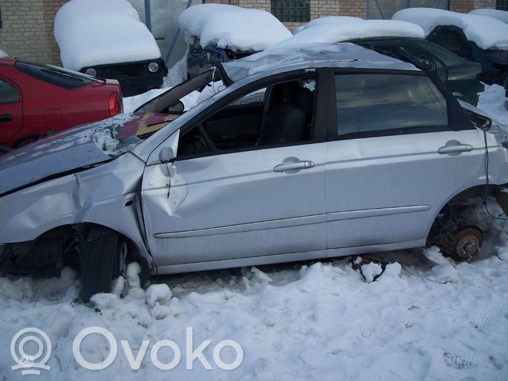 Cerato Cerato
