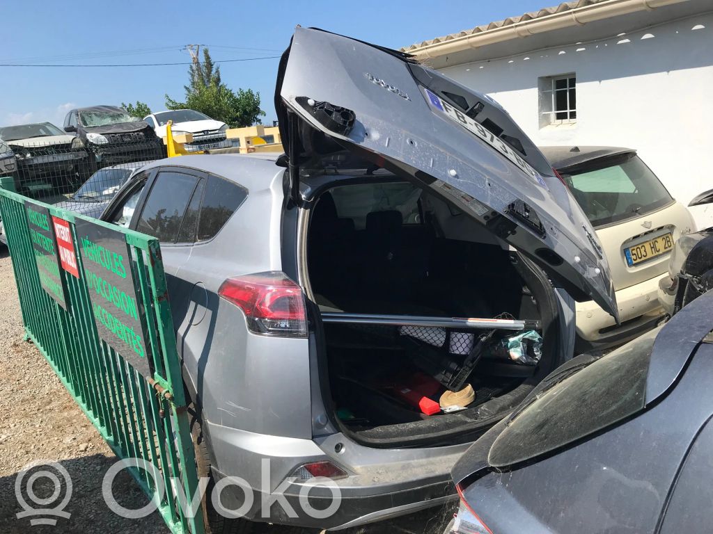 RAV 4 (XA50) RAV 4  18H02
