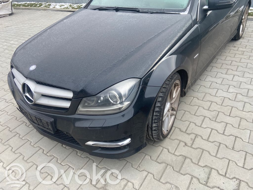 C W204 C-class, AMG (W202, W203, W204, W205, W206)  22092011