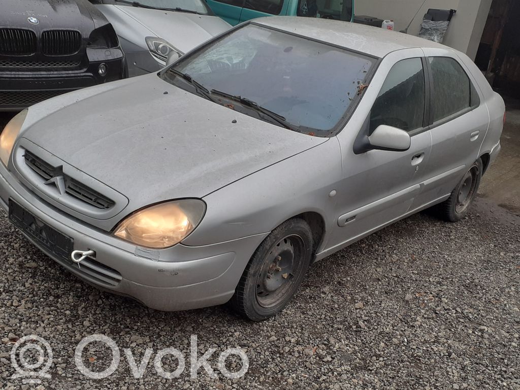 Xsara Xsara, Xsara Picasso