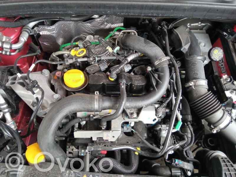 Clio V Clio  255670428R