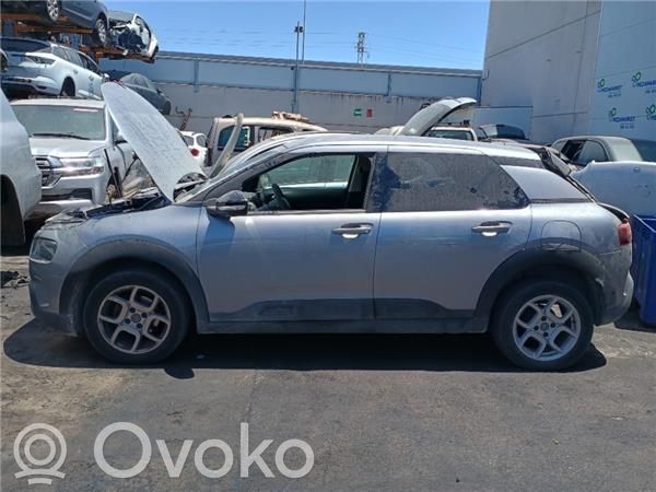 C4 Cactus C4 Picasso, Grand Picasso, Aircross, Cactus  9801219180