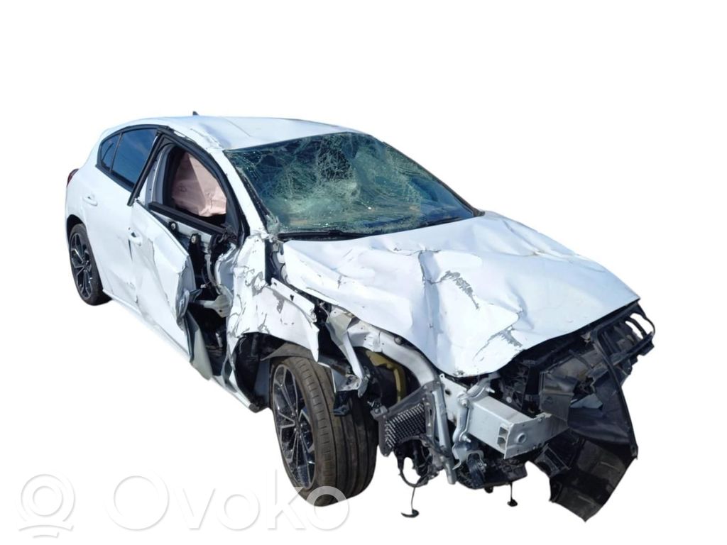 Focus Focus  2452577
