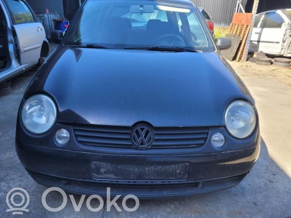 Lupo Lupo