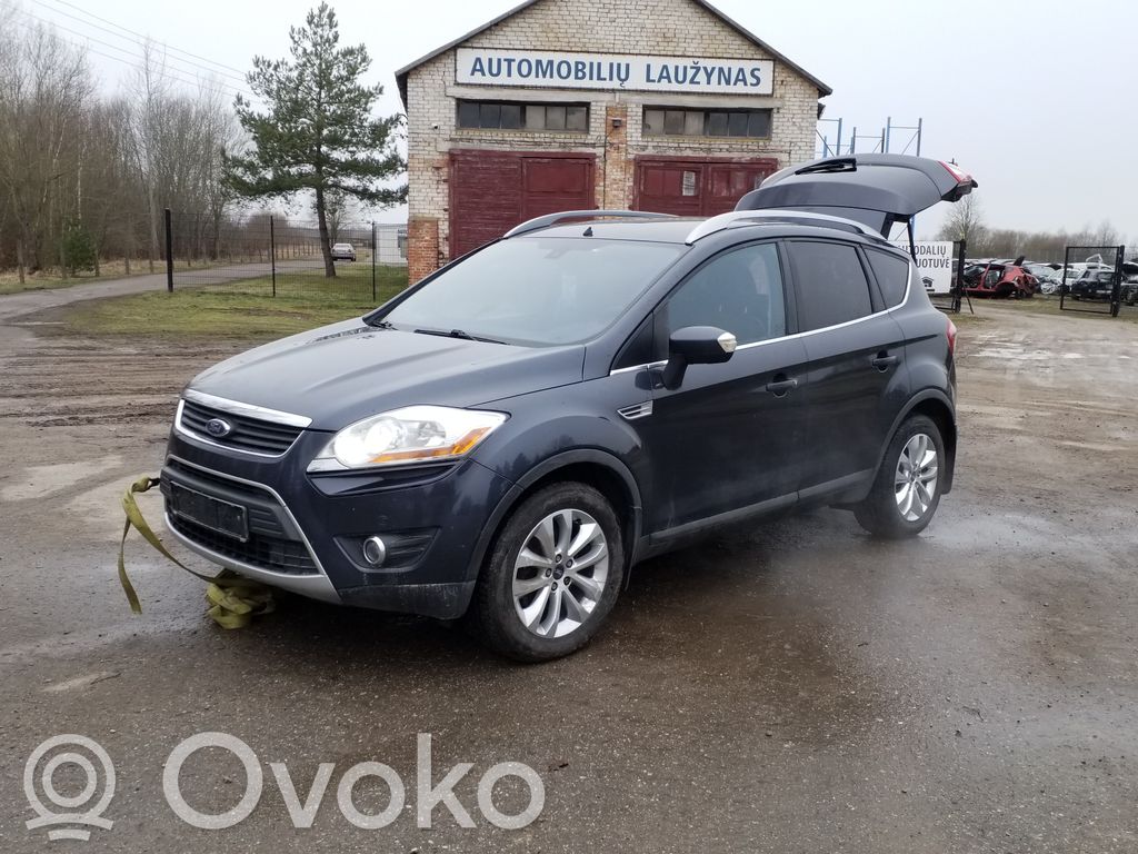 Kuga I Kuga