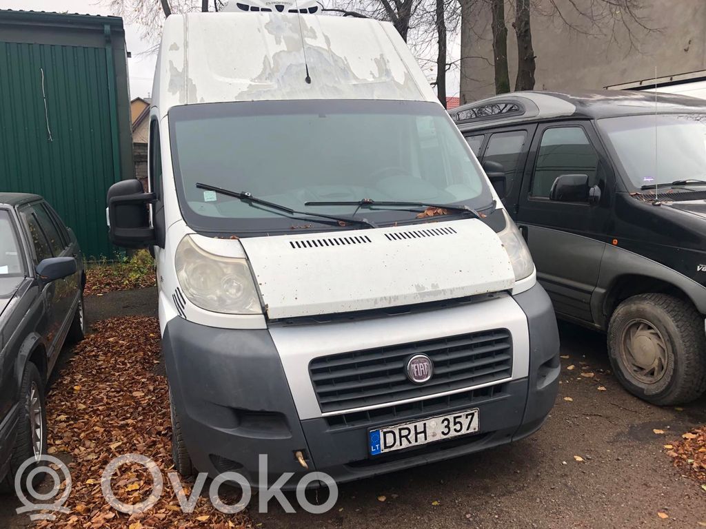 Ducato Ducato  504078435
