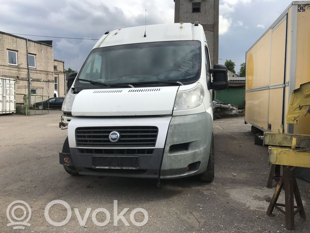 Ducato Ducato  C982