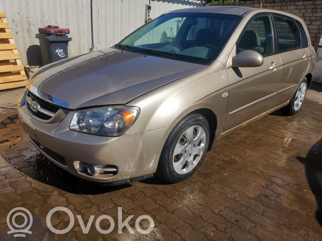Cerato Cerato