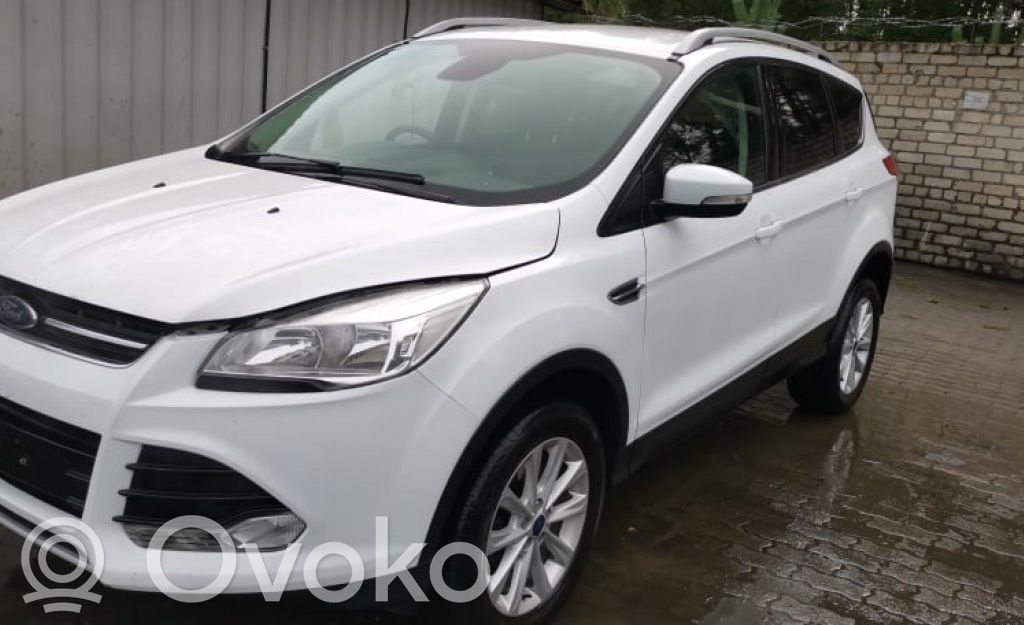 Kuga II Kuga