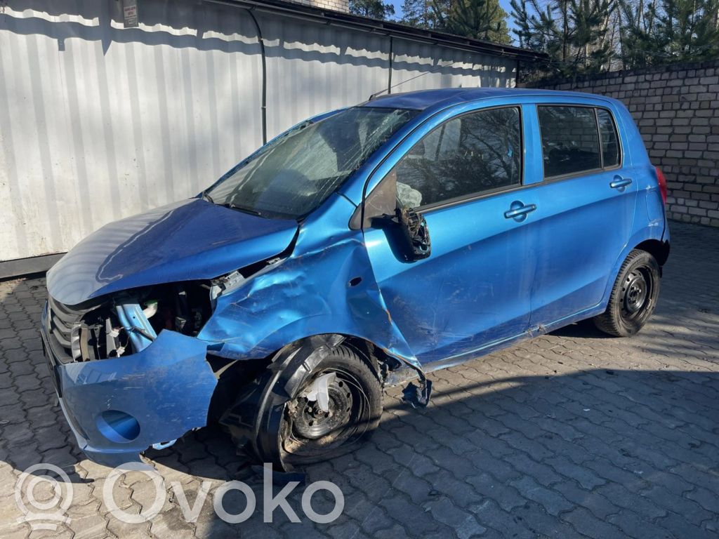 Celerio Celerio