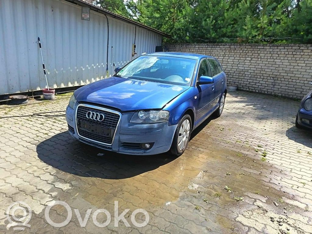 A3 S3 A3 Sportback 8P A3, S3  06F906088