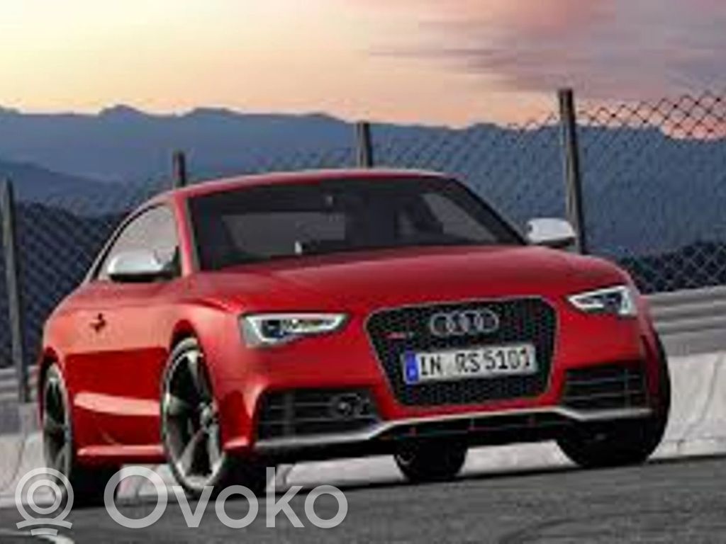 RS5 RS5  07L131101F
