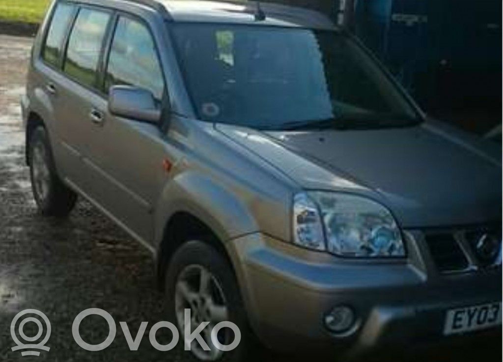 X-Trail T30 X-Trail  31116