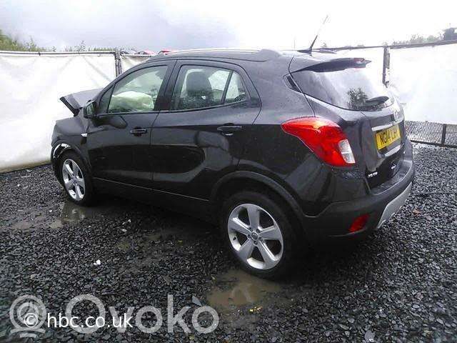 Mokka Mokka  AXB18966