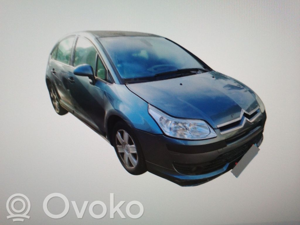 C4 I Picasso C4 Picasso, Grand Picasso, Aircross, Cactus  9138N5