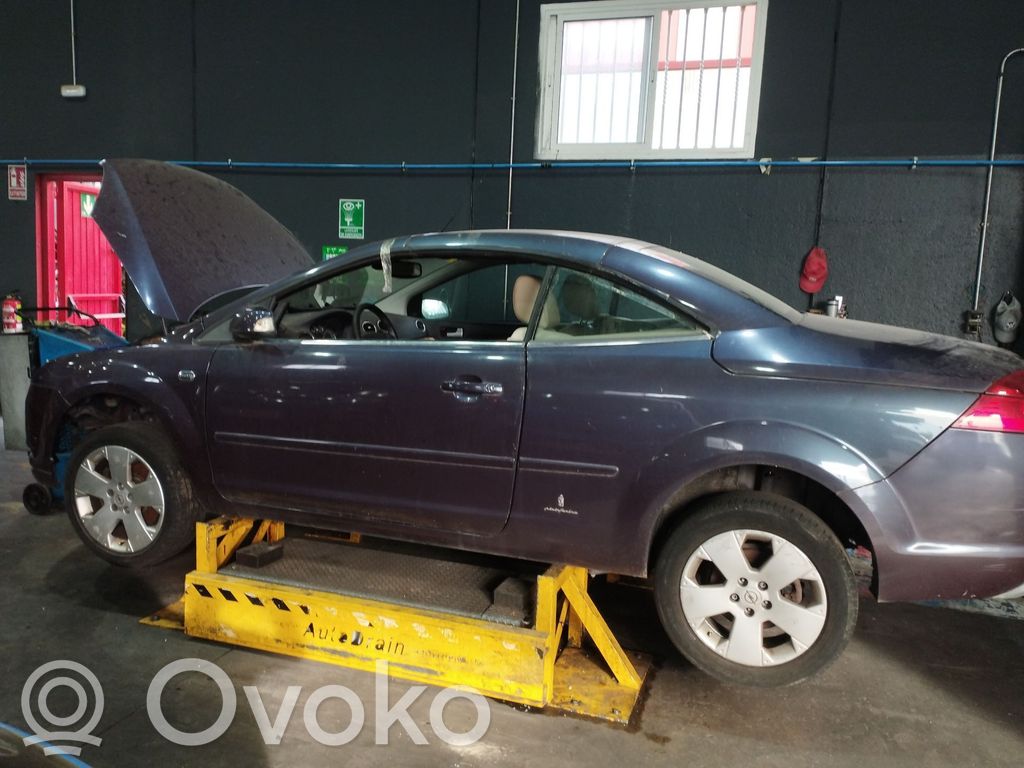 Focus Focus  1480981