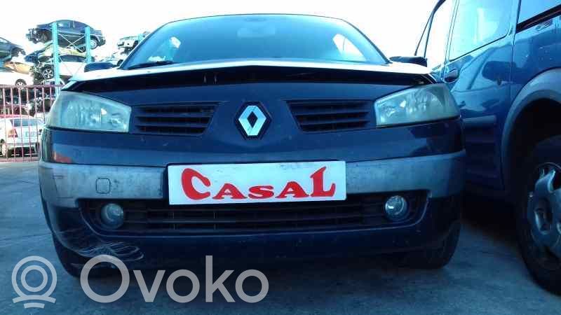 Megane II Megane  54391015071