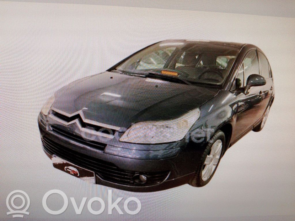 C4 I C4 Picasso, Grand Picasso, Aircross, Cactus  6820000084