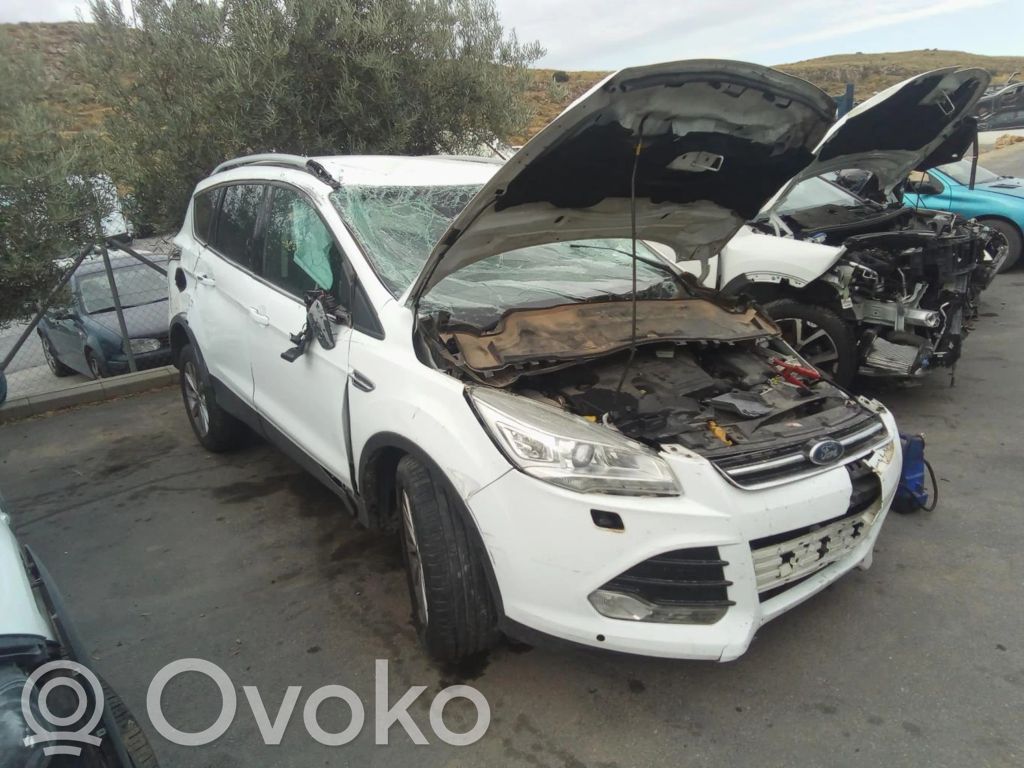 Kuga I Kuga  E11A002236