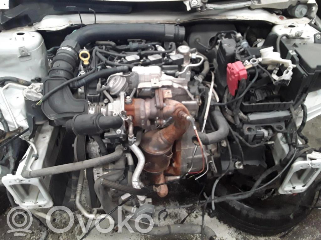 Fiesta Fiesta  C1B112A650ABA