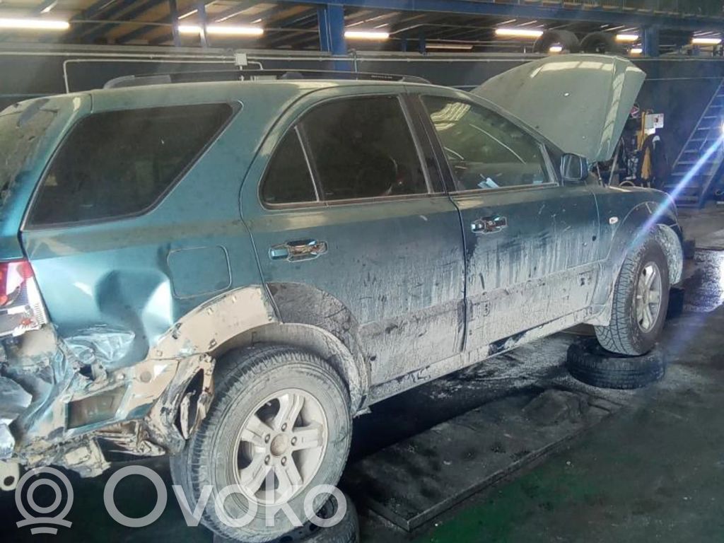 Sorento Sorento  491003E300
