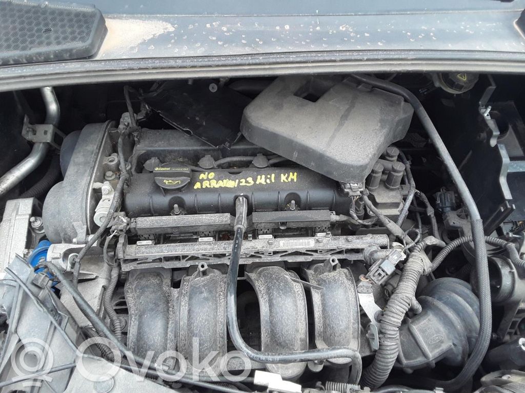 Focus Focus  921765101