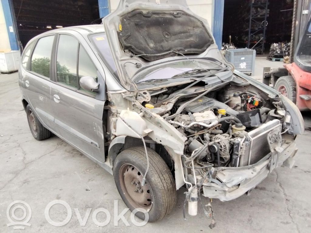 Scenic I Scenic  8200197966