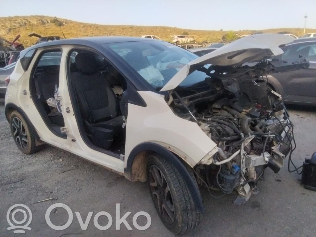 Captur Captur  233001073