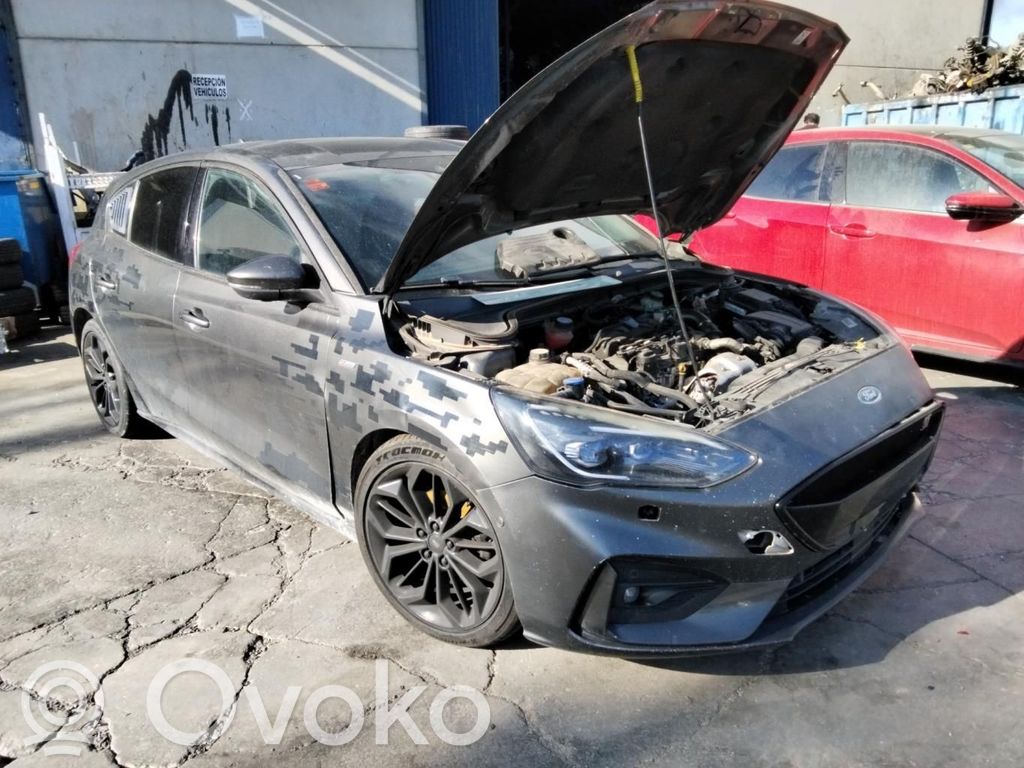 Focus Focus  7808001237