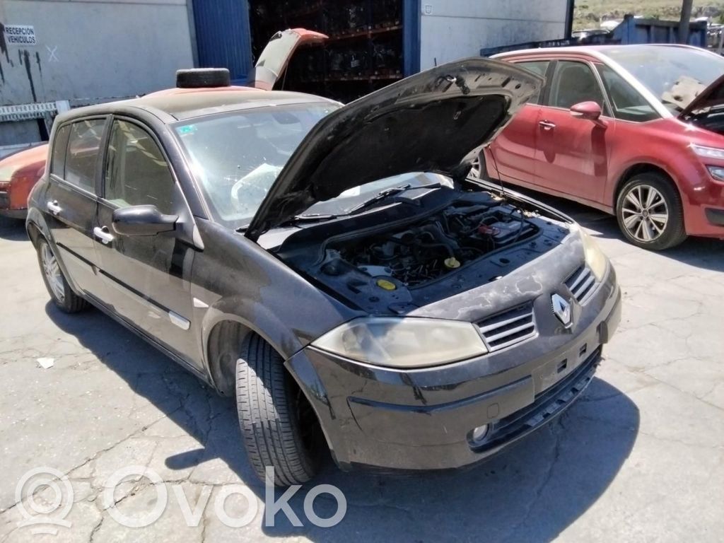 Megane II Megane  7751473734