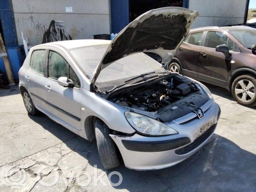 307 307  7401S6