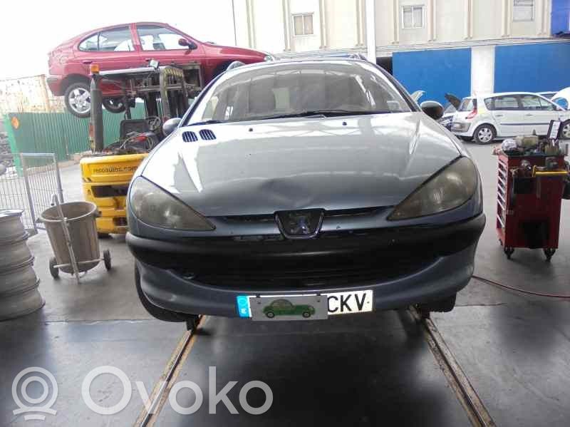 206 206, 206+  9635651080