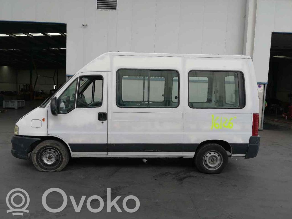 Boxer Boxer  2004AA